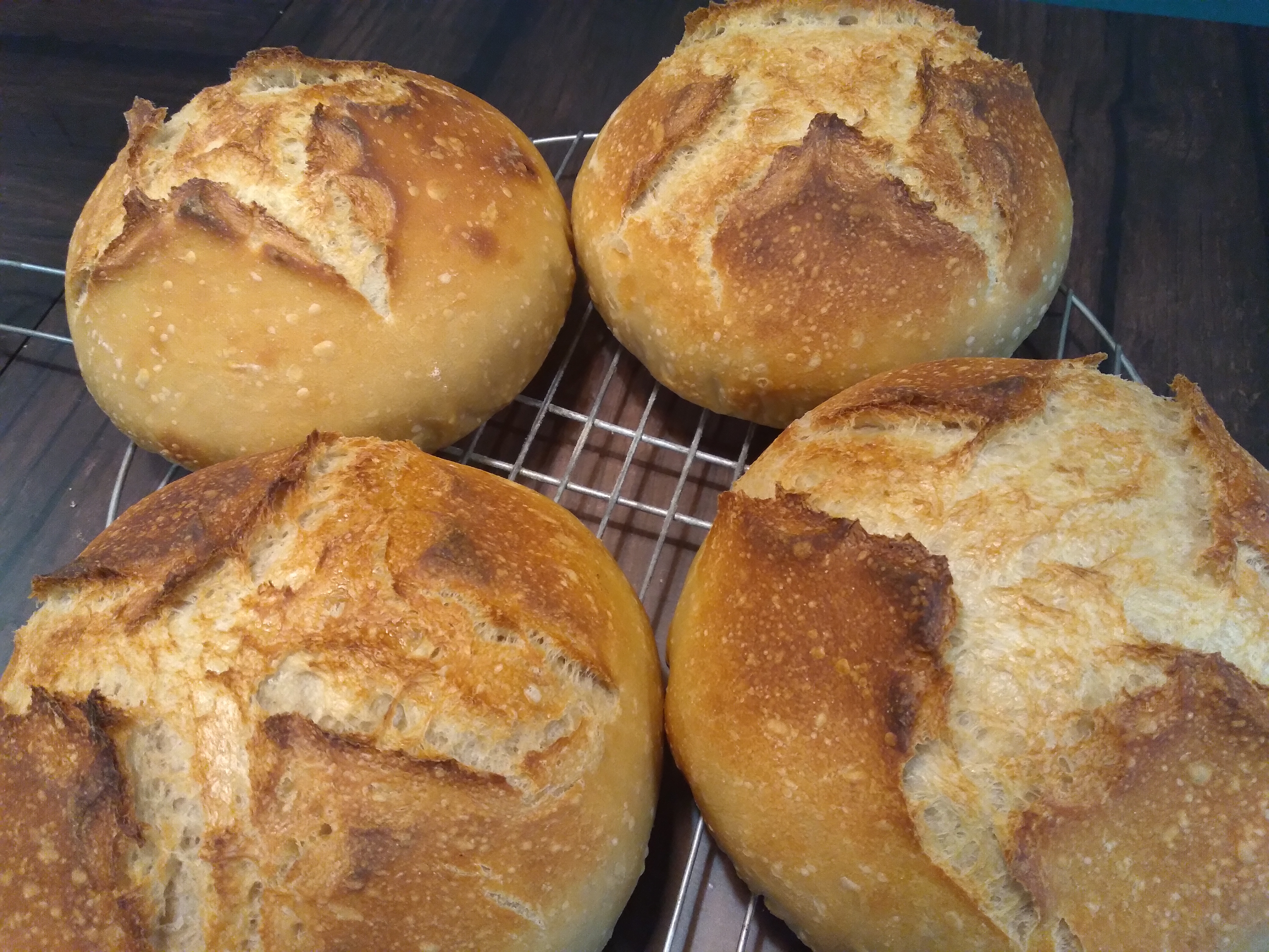 sourdough